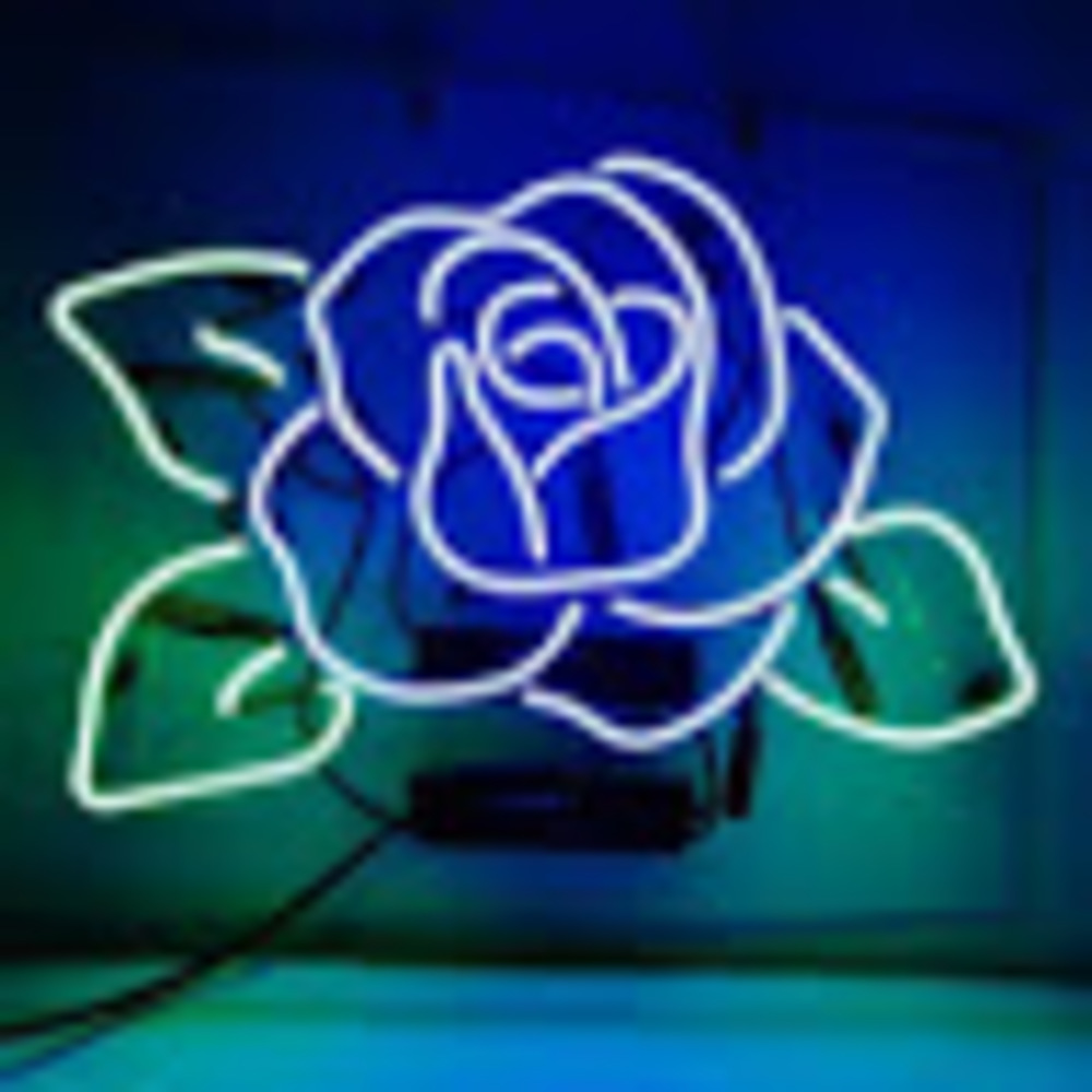 Meet your Posher, Sree